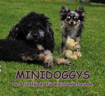  Minidoggys 
